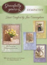 Quiet Comfort 2