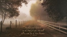 The Journey