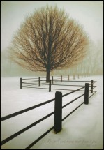 Solitude_