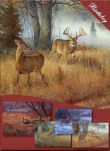 Barns & Bucks