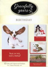 Paws of Celebration